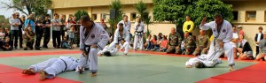 Demonstration Hapkido JJK au 2REP (100)