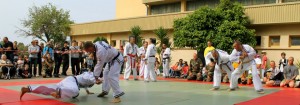 Demonstration Hapkido JJK au 2REP (119)