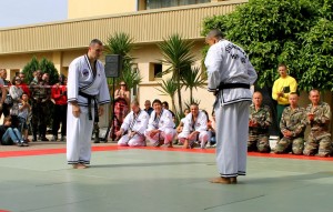 Demonstration Hapkido JJK au 2REP (71)