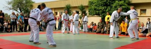 Demonstration Hapkido JJK au 2REP (89)