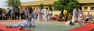 Demonstration Hapkido JJK au 2REP (90)