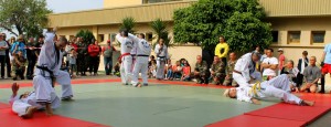 Demonstration Hapkido JJK au 2REP (98)